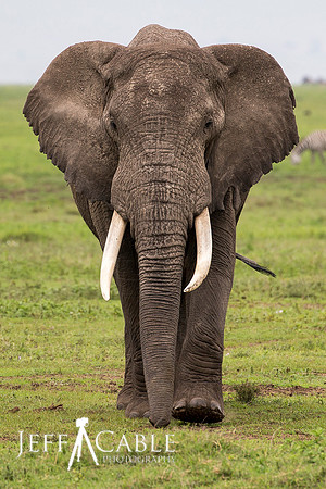 Edit_Tanzania_2016_0971_crop