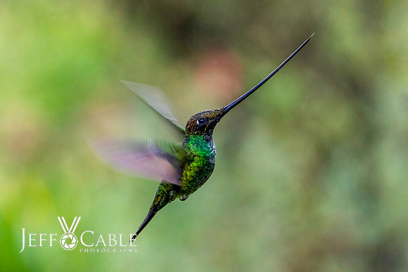 Peru Photo Tour