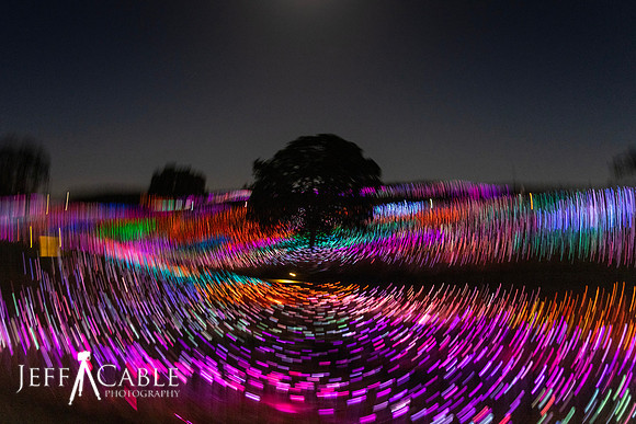 Paso Robles Light Roll