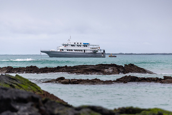 Edit-Galapagos-Photo-Tour#2-1363