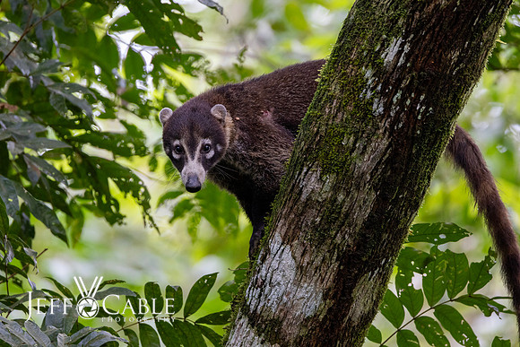 Costa Rica Photo Tours
