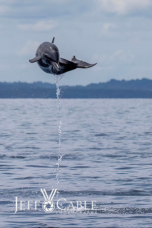Costa Rica Photo Tours
