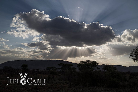 Nature Photography