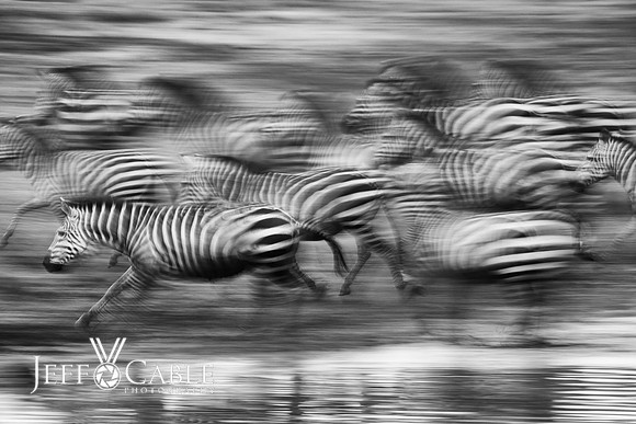 Nature Photography