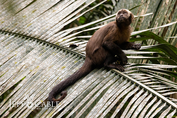 Peru Photo Tour