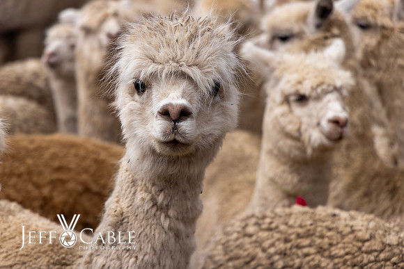 Peru Photo Tour