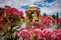 San Francisco City