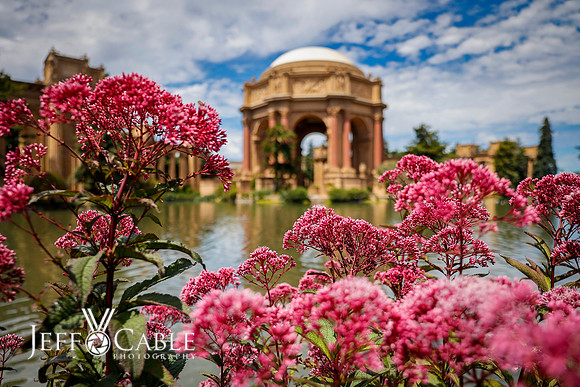 San Francisco City