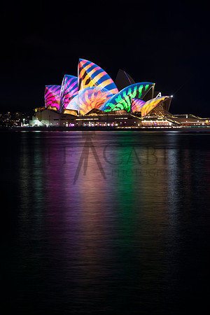 Vivid Sydney Reflection