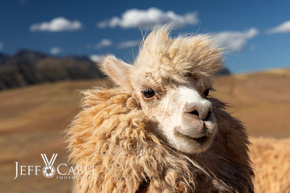 Peru Photo Tour