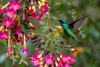 Peru Photo Tour