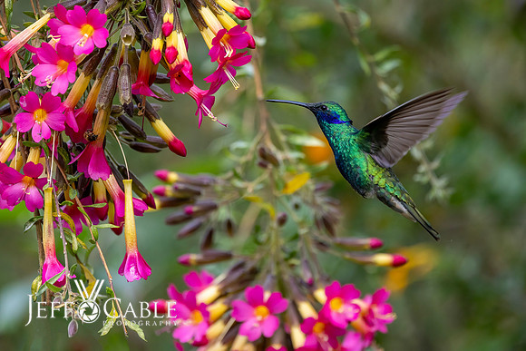 Peru Photo Tour