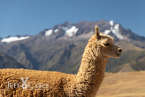 Peru Photo Tour