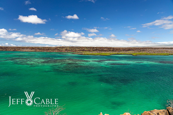Edit-Galapagos-Photo-Tour#2-0276