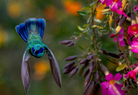 Peru Photo Tour