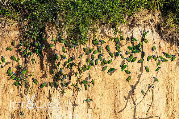 Peru Photo Tour