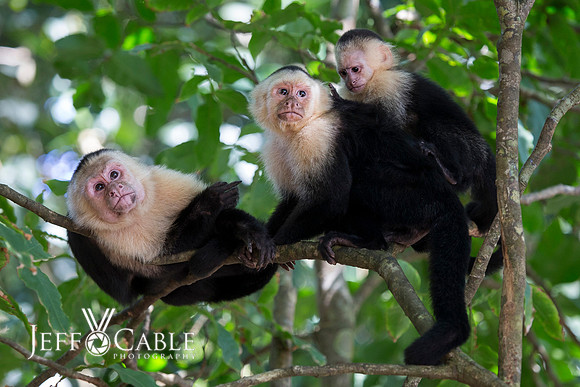 Costa Rica Photo Tours