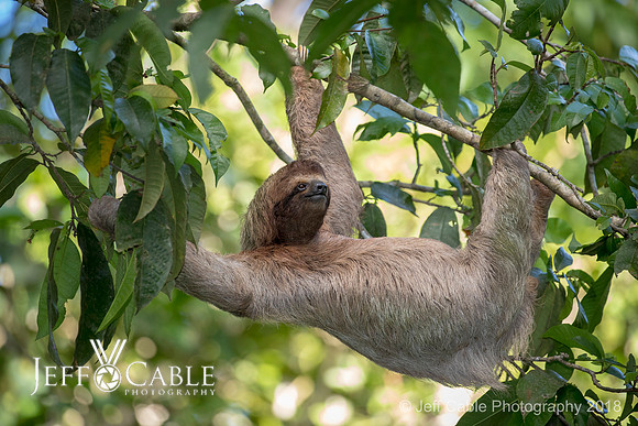 Costa Rica Photo Tours