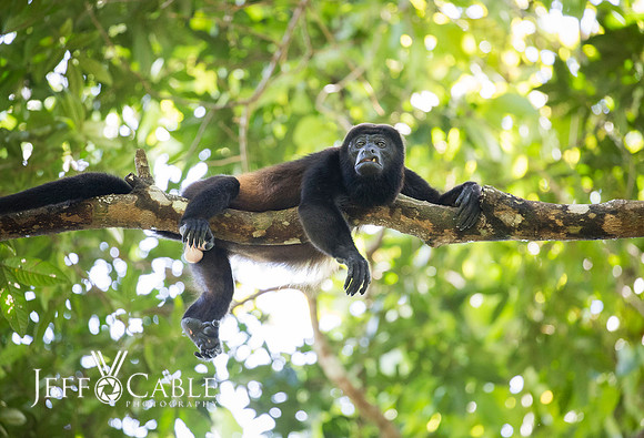 Costa Rica Photo Tours