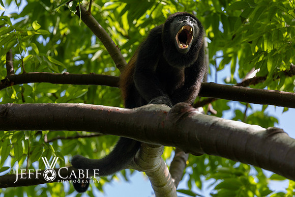 Costa Rica Photo Tours