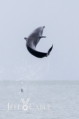 Costa Rica Photo Tours
