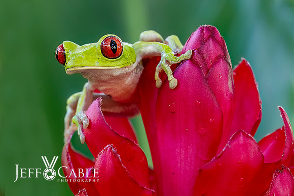 Costa Rica Photo Tours