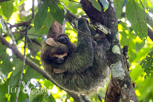 Costa Rica Photo Tours
