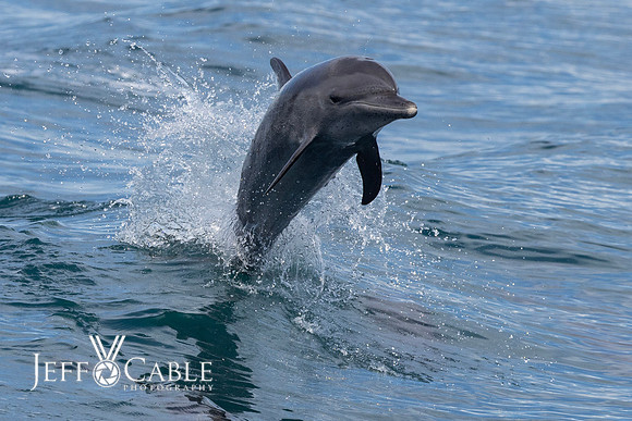 Costa Rica Photo Tours