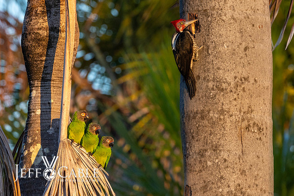 Peru Photo Tour