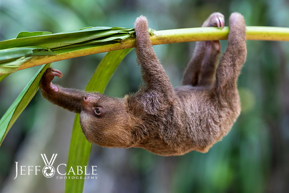 Costa Rica Photo Tours