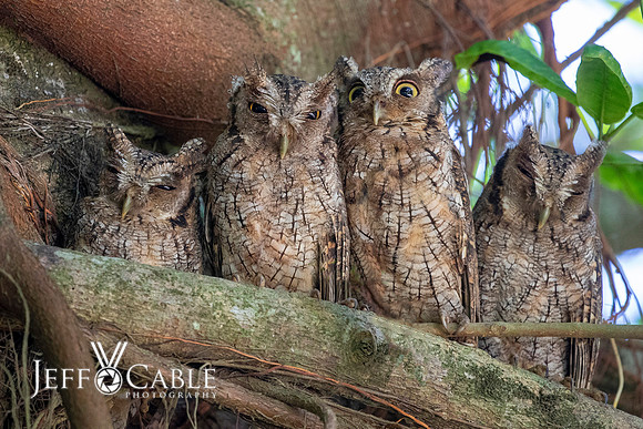 Costa Rica Photo Tours