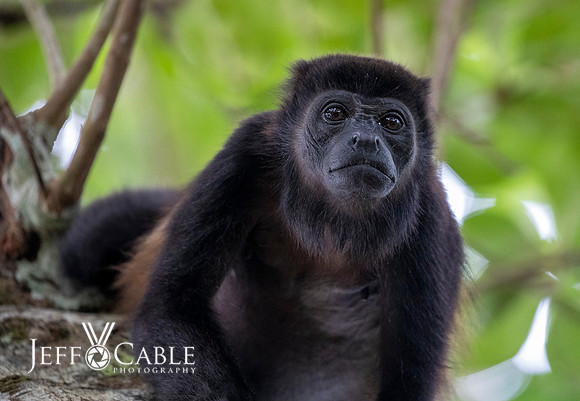 Costa Rica Photo Tours