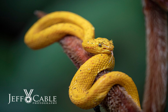 Costa Rica Photo Tours