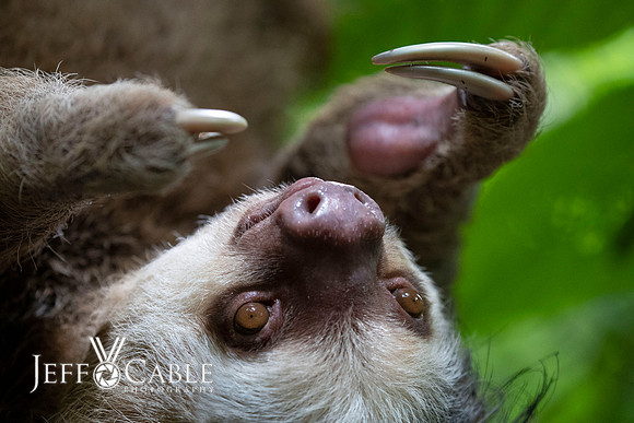 Costa Rica Photo Tours