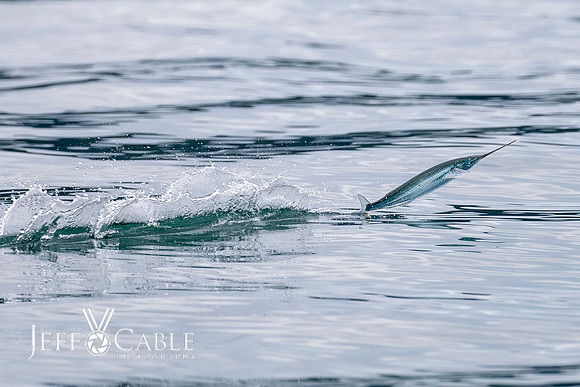 Costa Rica Photo Tours