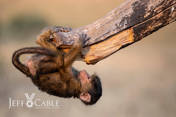 Edit-Tanzania-Migration-Tour-00946
