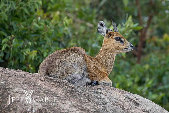 Edit-Tanzania-Migration-Tour-01389