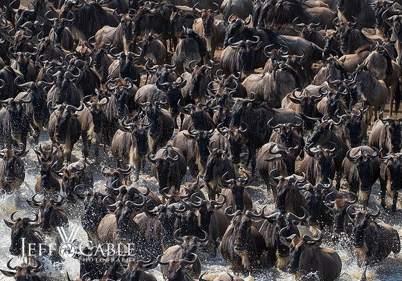 Edit-Tanzania-Migration-Tour-02201-crop