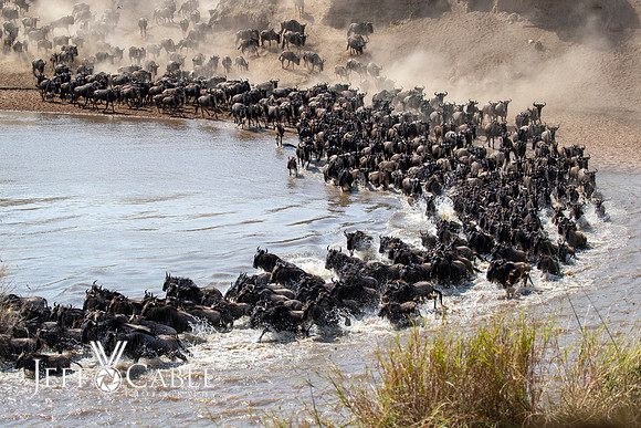 Edit-Tanzania-Migration-Tour-02217