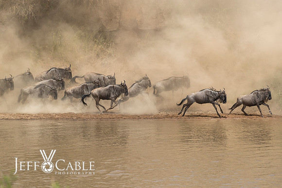 Edit-Tanzania-Migration-Tour-02374