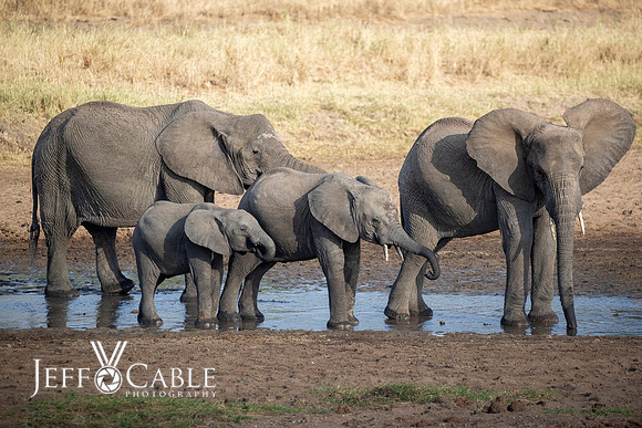 Edit-Tanzania-Migration-Tour-00357