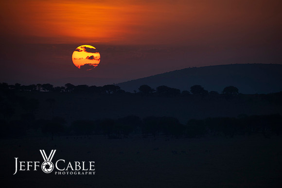 Edit-Tanzania-Migration-Tour-03480