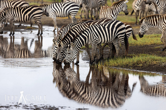 Edit-Tanzania2023-2568