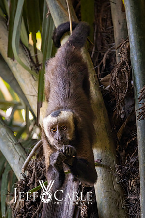 Peru Photo Tour
