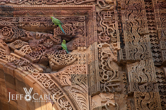 Edit-India-Photo-Tour1-0693