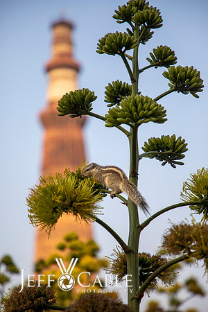 Edit-India-Photo-Tour1-0719