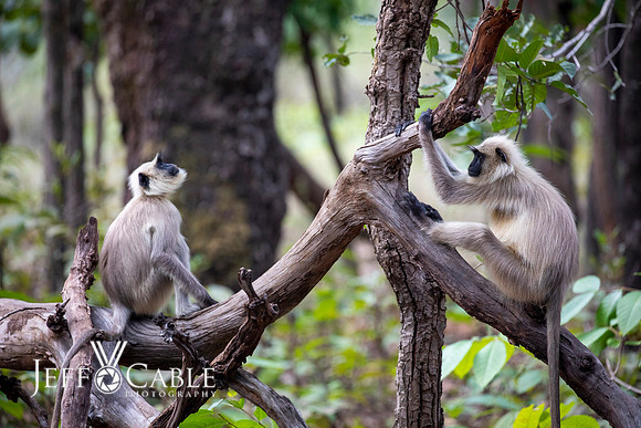 Edit-India-Photo-Tour1-1308