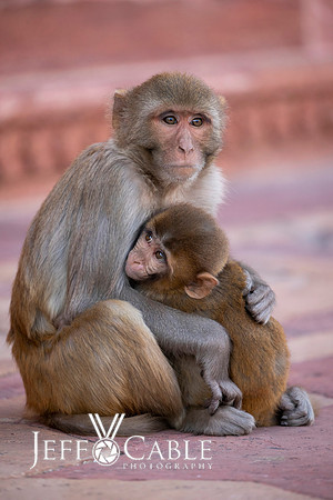 Edit-India-Photo-Tour1-1739