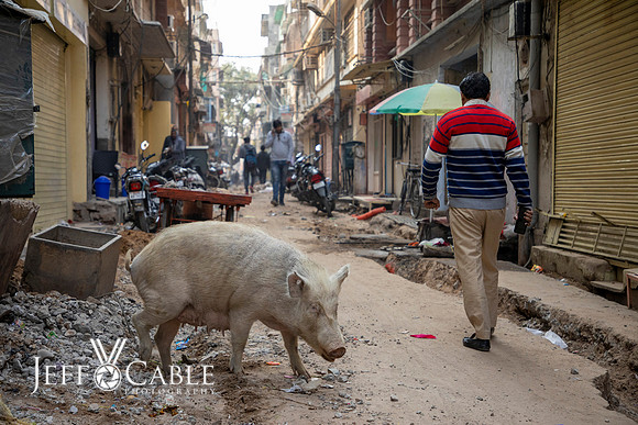 Edit-India-Photo-Tour1-2701