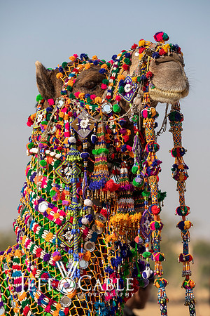 Edit-India-Photo-Tour1-3403